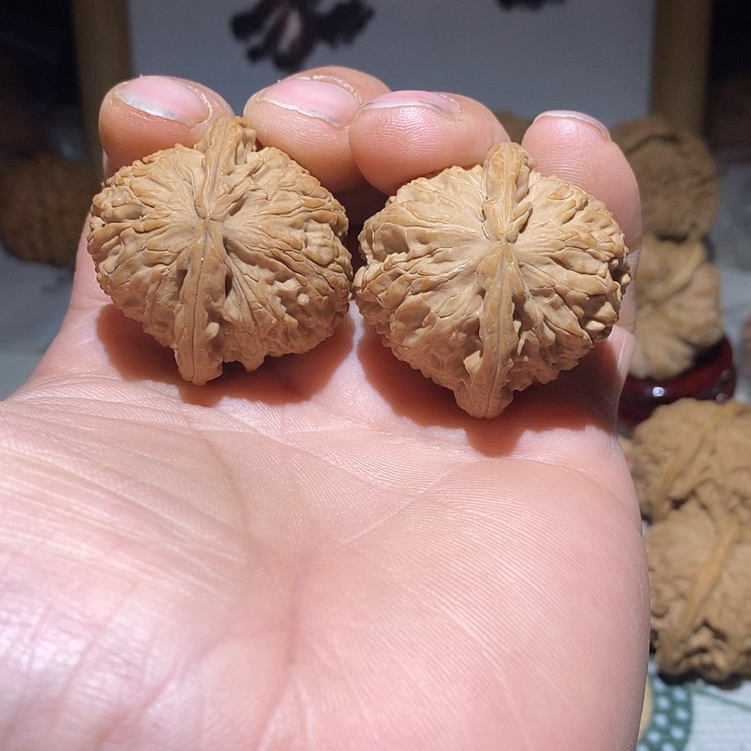 文玩核桃把件慵*37尺白狮子