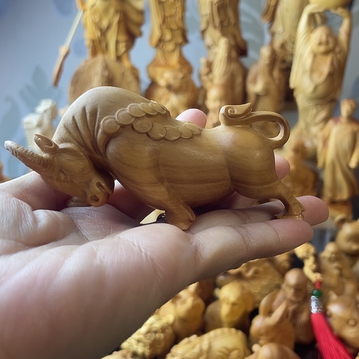 柏木（崖柏）崖柏斗牛长9.5公分