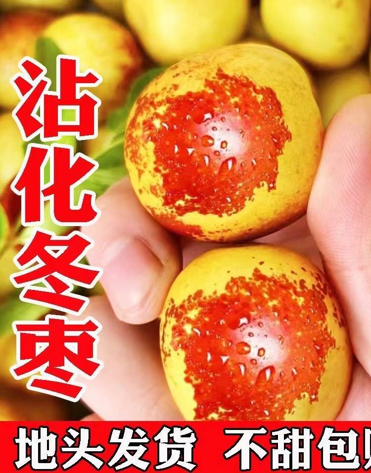 果王主播同款山东新鲜沾化冬枣脆甜特大