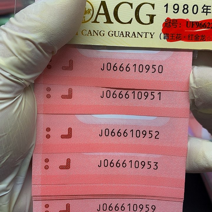 十张连号尾号066610950十张