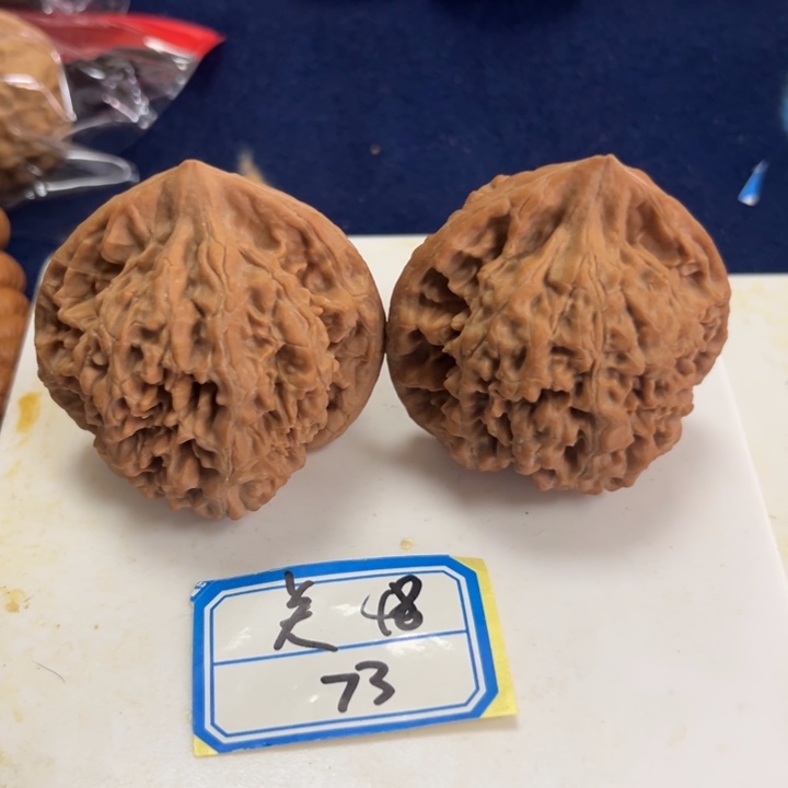 核桃48大官帽73号