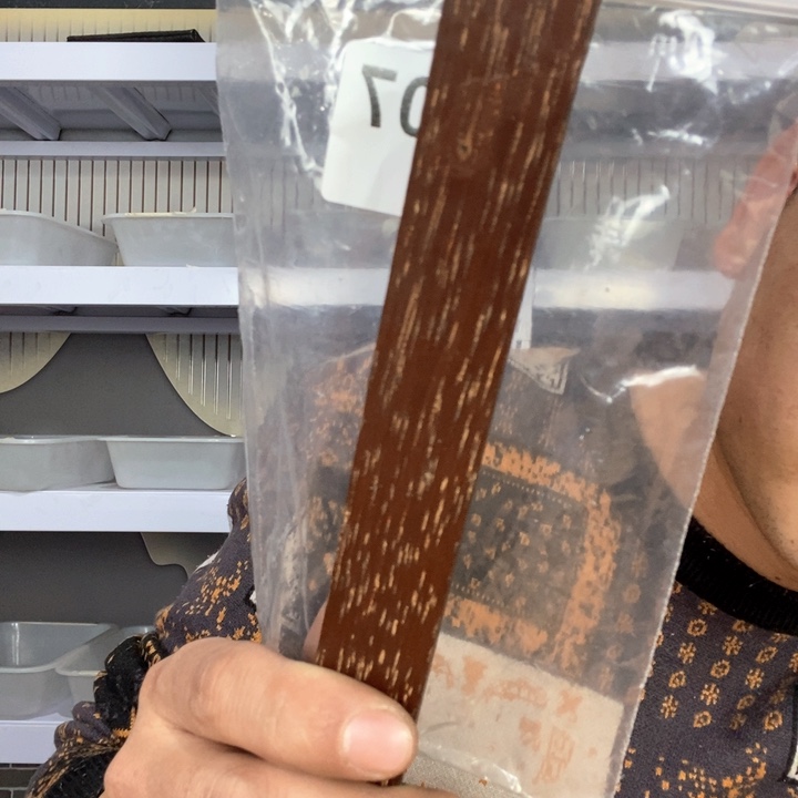 大果紫檀（缅甸花梨）5807