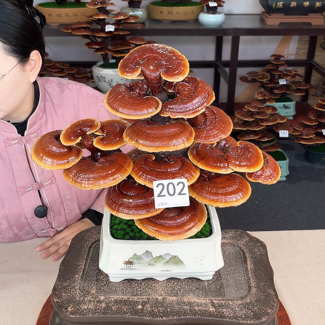 万事如意888888202