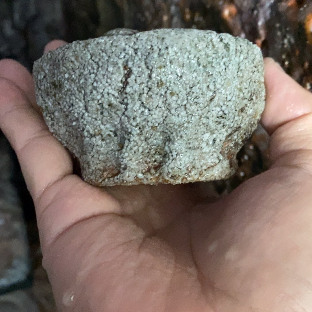 开窑大吉 高货多多256