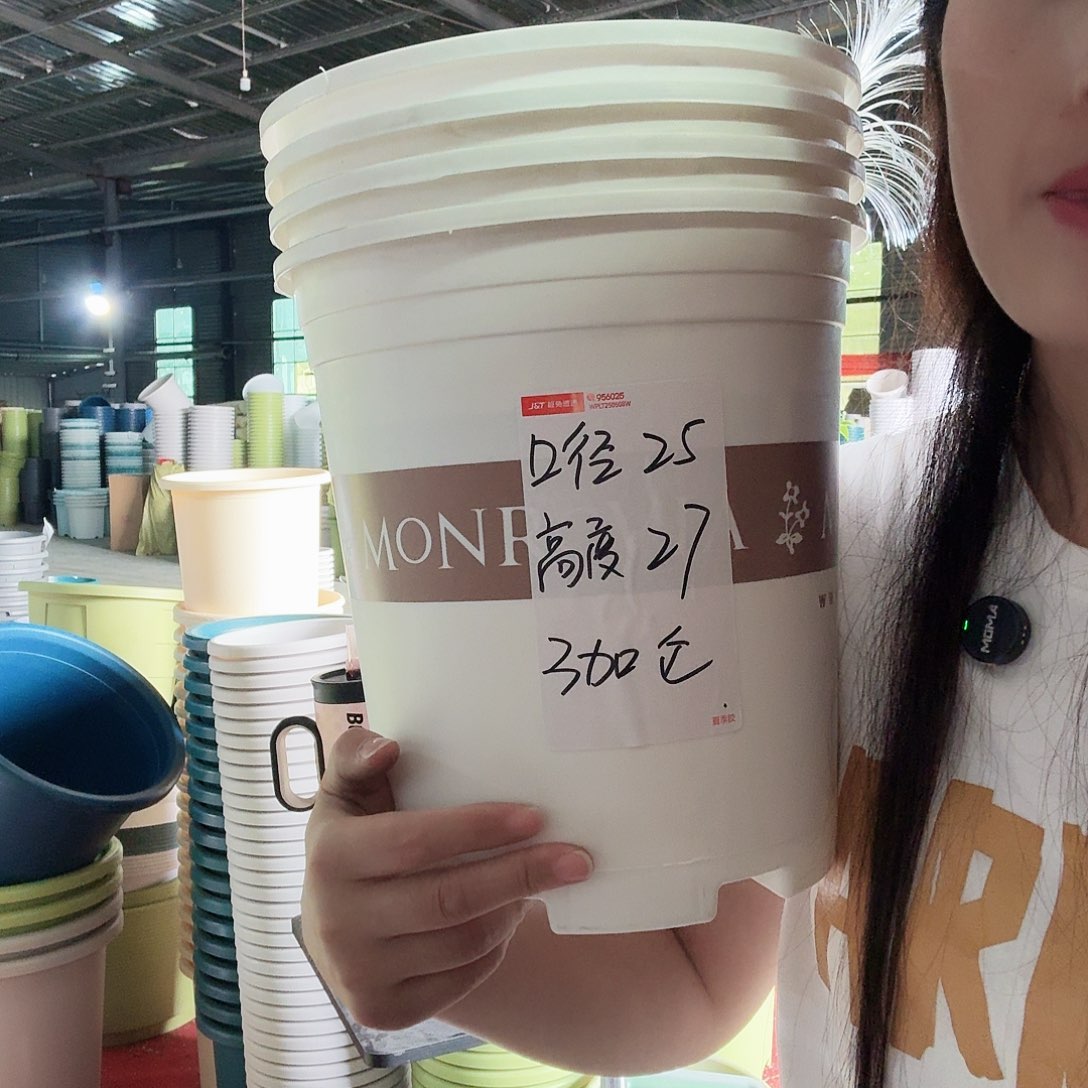 高三无拖白色5个无拖