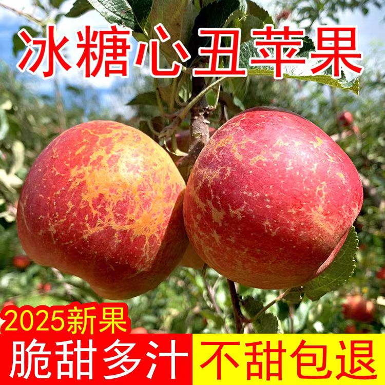 四川大凉山丑苹果冰糖心现摘现发脆甜多汁新鲜水果K