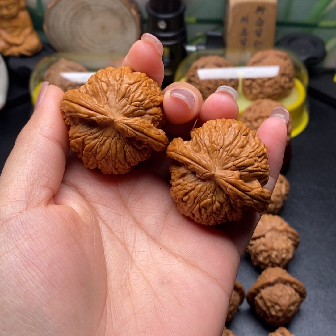 核桃白狮子，尺寸42.5