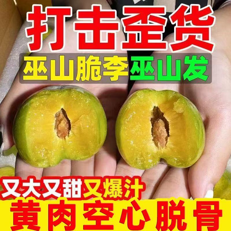 【正宗巫山脆李】重庆巫山脆李脱骨李新鲜应季水果