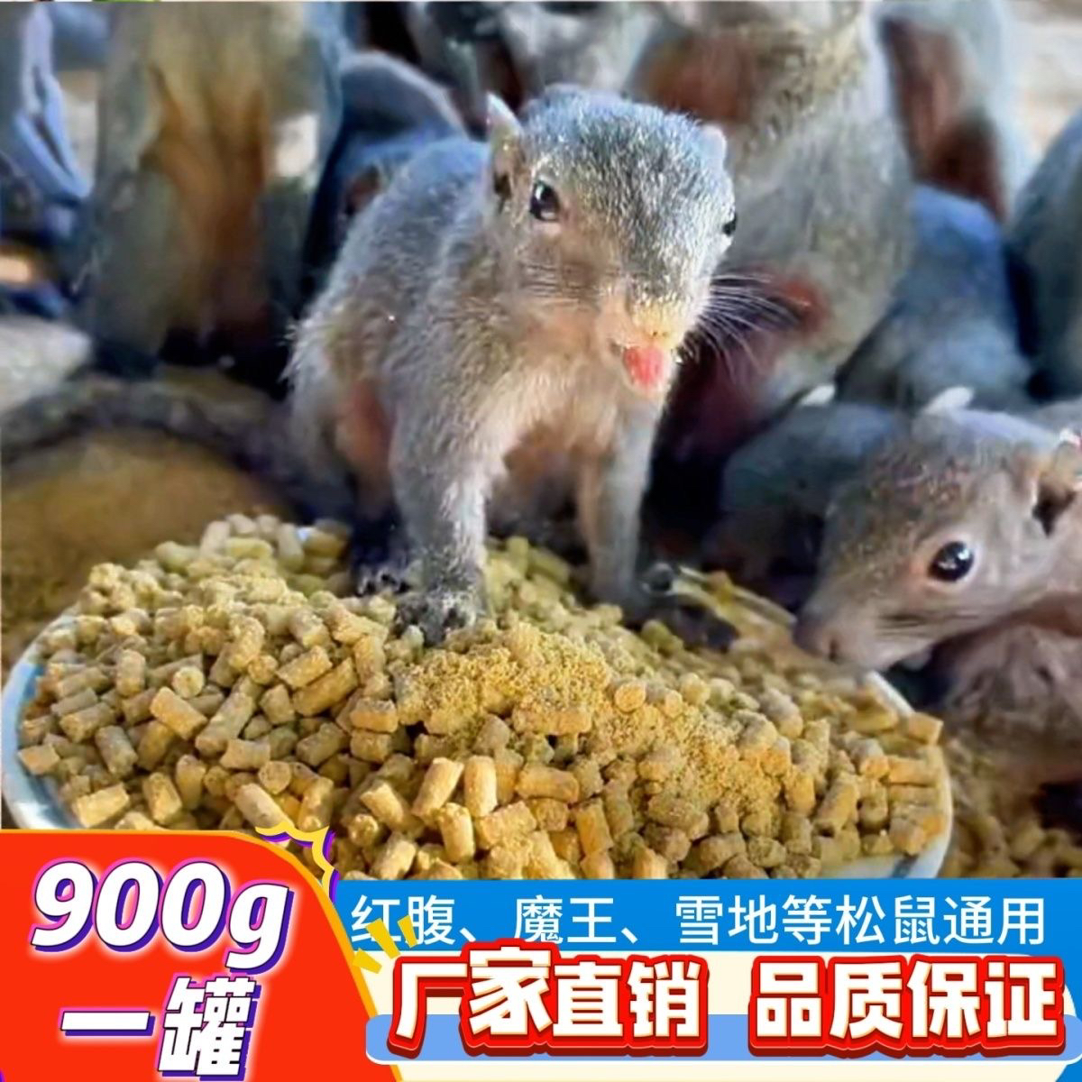 营养均衡成分丰富的松鼠专用粮适合全品种松鼠