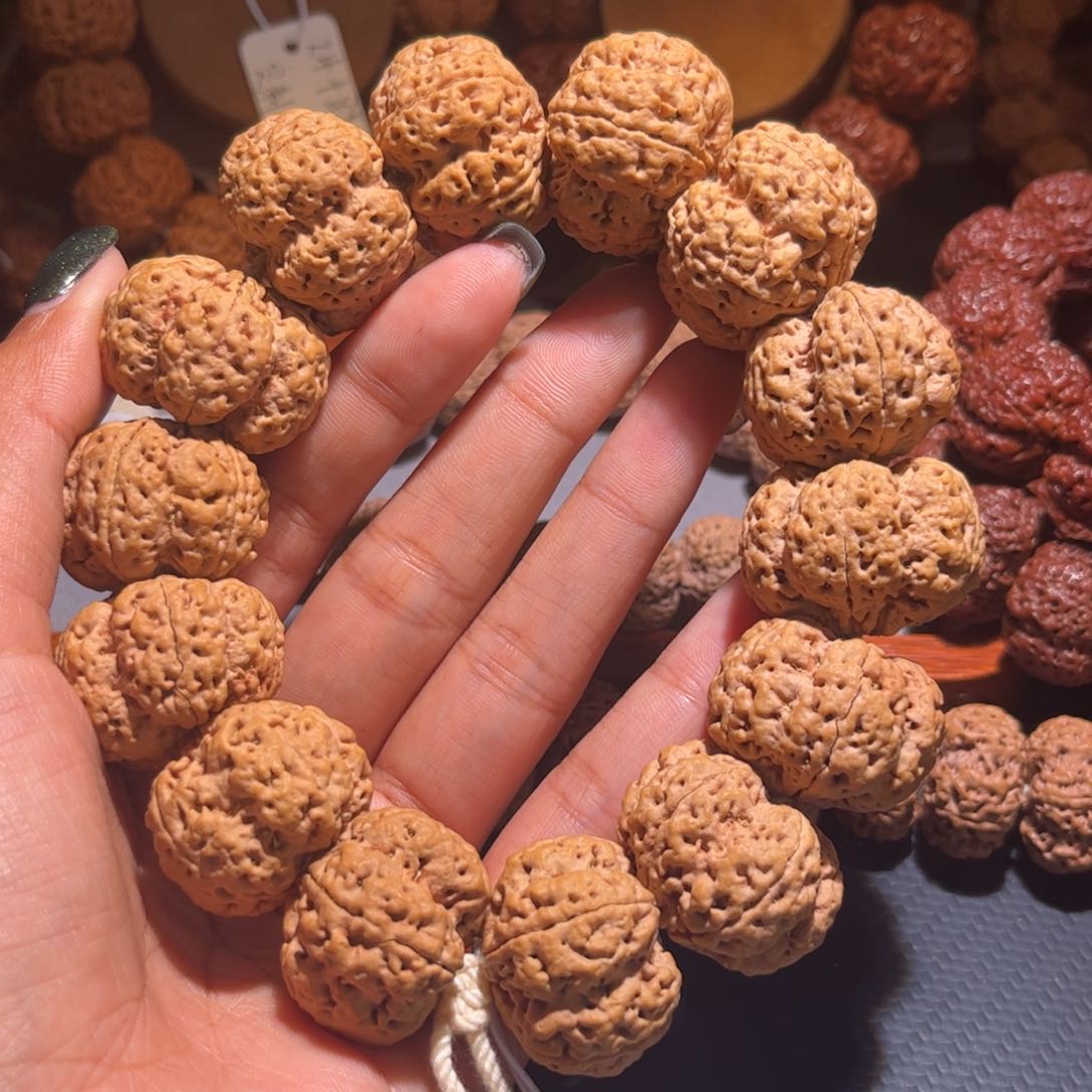 金刚菩提手串问鼎梅花29