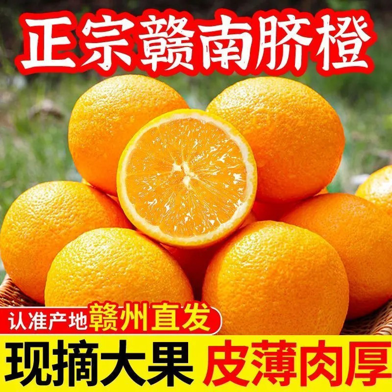 【试吃三个】正宗赣南脐橙皮薄肉厚新鲜采摘发货产地直发坏果包赔H