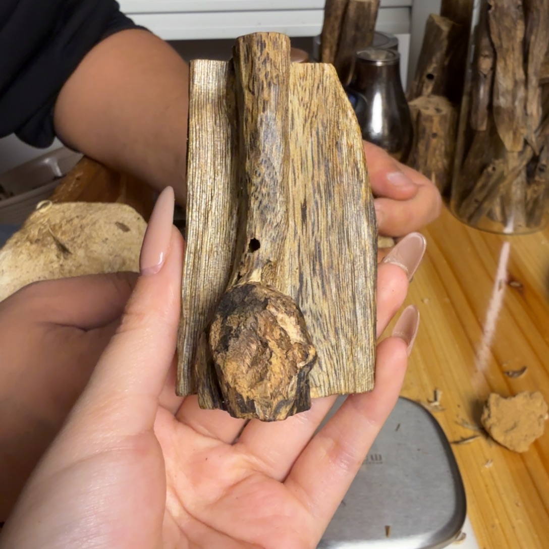 沉香白奇虫漏23克