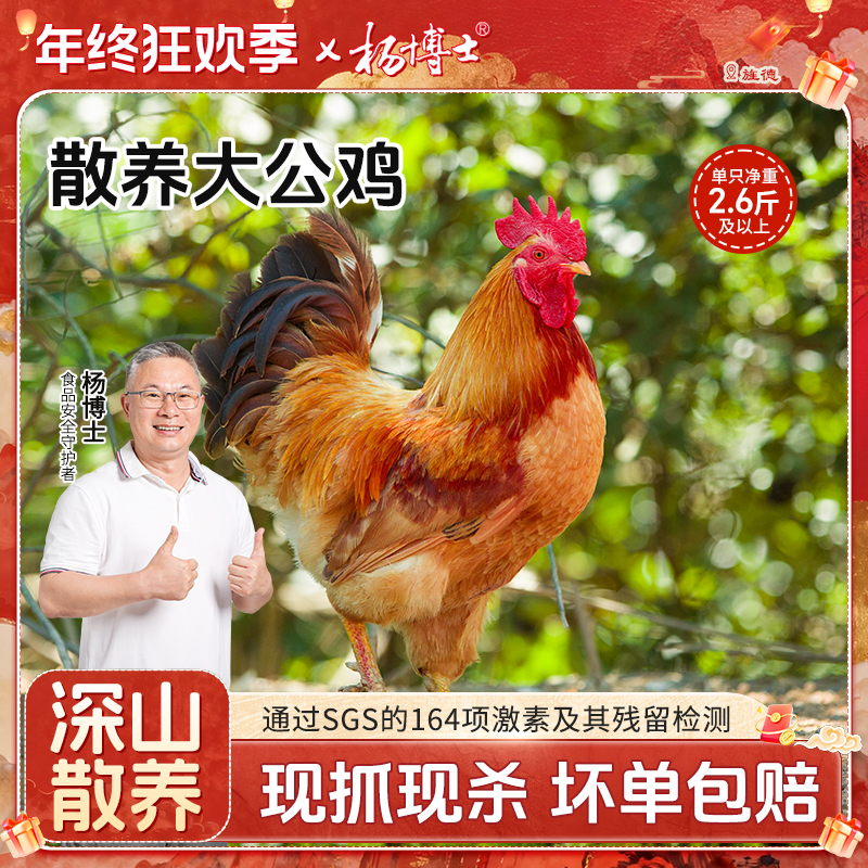 【内蒙甘肃黑龙江吉林青海海南专拍】杨博士新鲜现杀土鸡鸡肉大公鸡