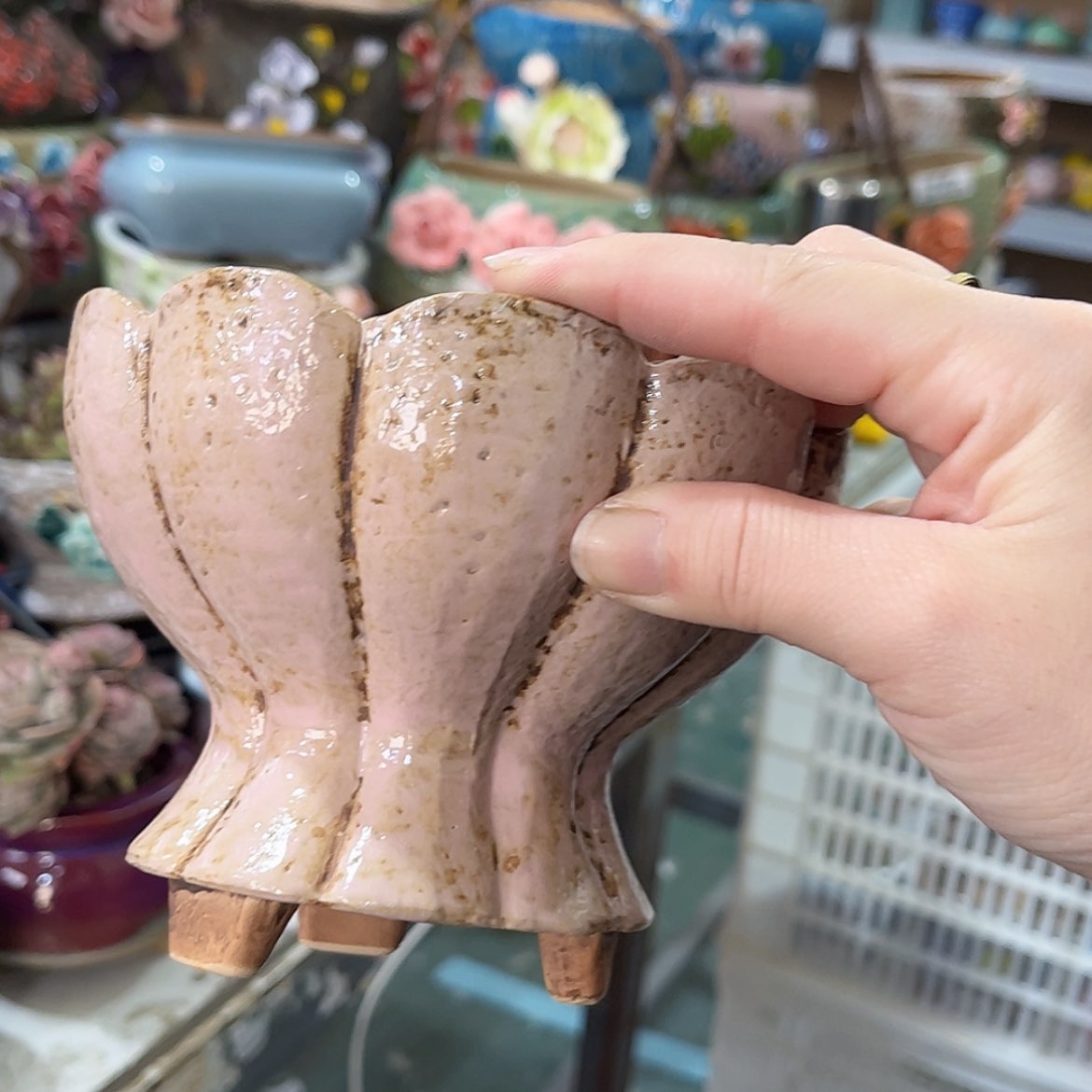 【闪购商品】红陶福利