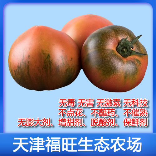 草莓西红柿5斤[小时候的味道]