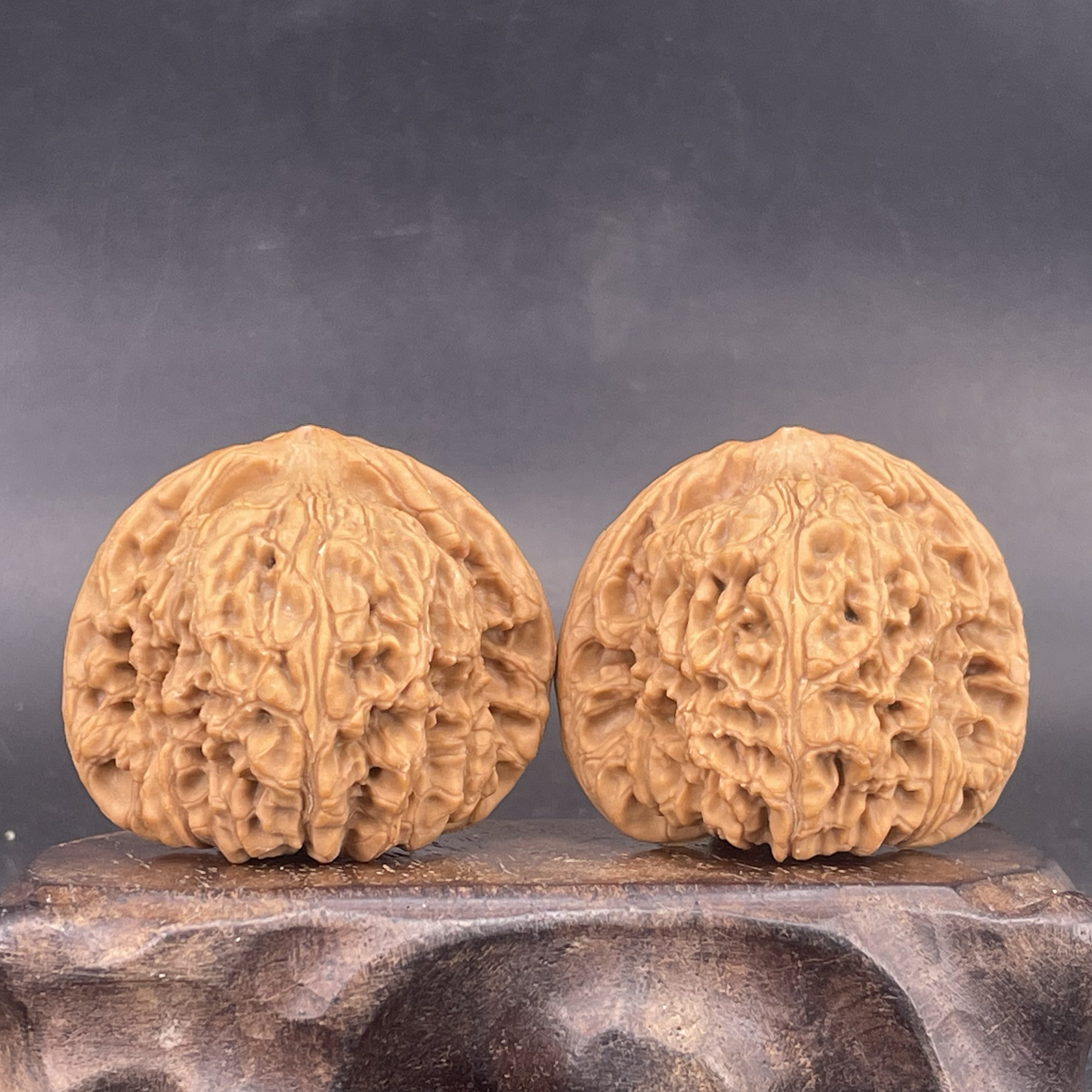 核桃表妹赵喜满南将石狮子头