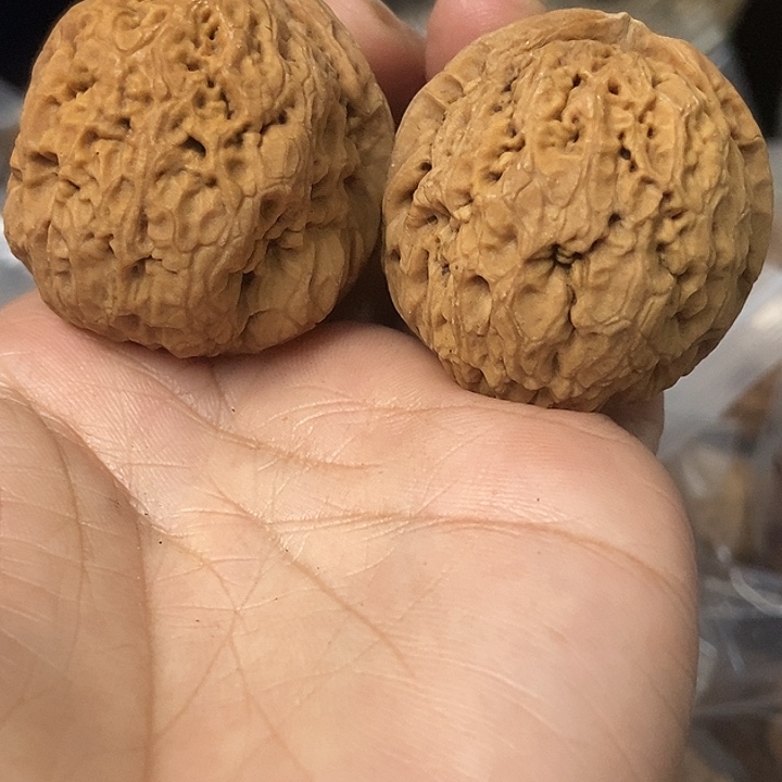 文玩核桃把件云南铁核桃基地88