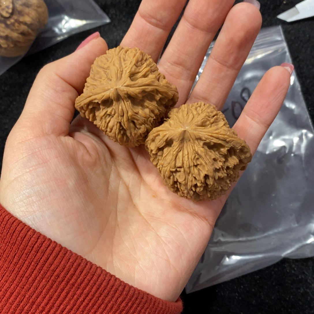 猴头核桃吊坠Y****6南疆60