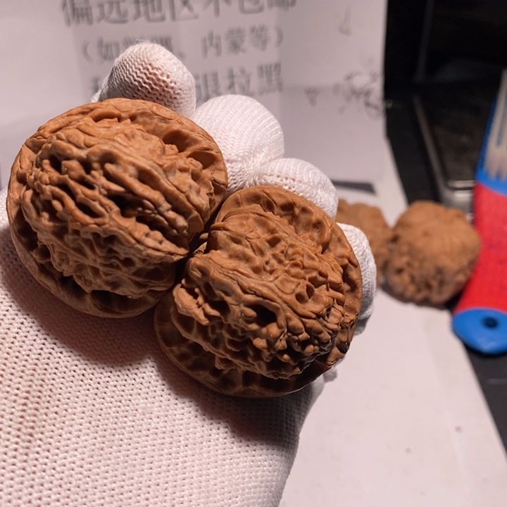 把件文玩核桃白狮子