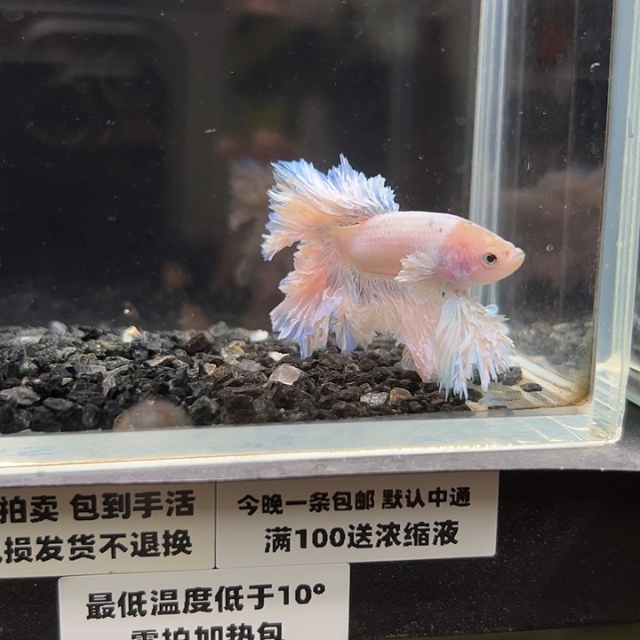 斗鱼跑单拉黑6日24