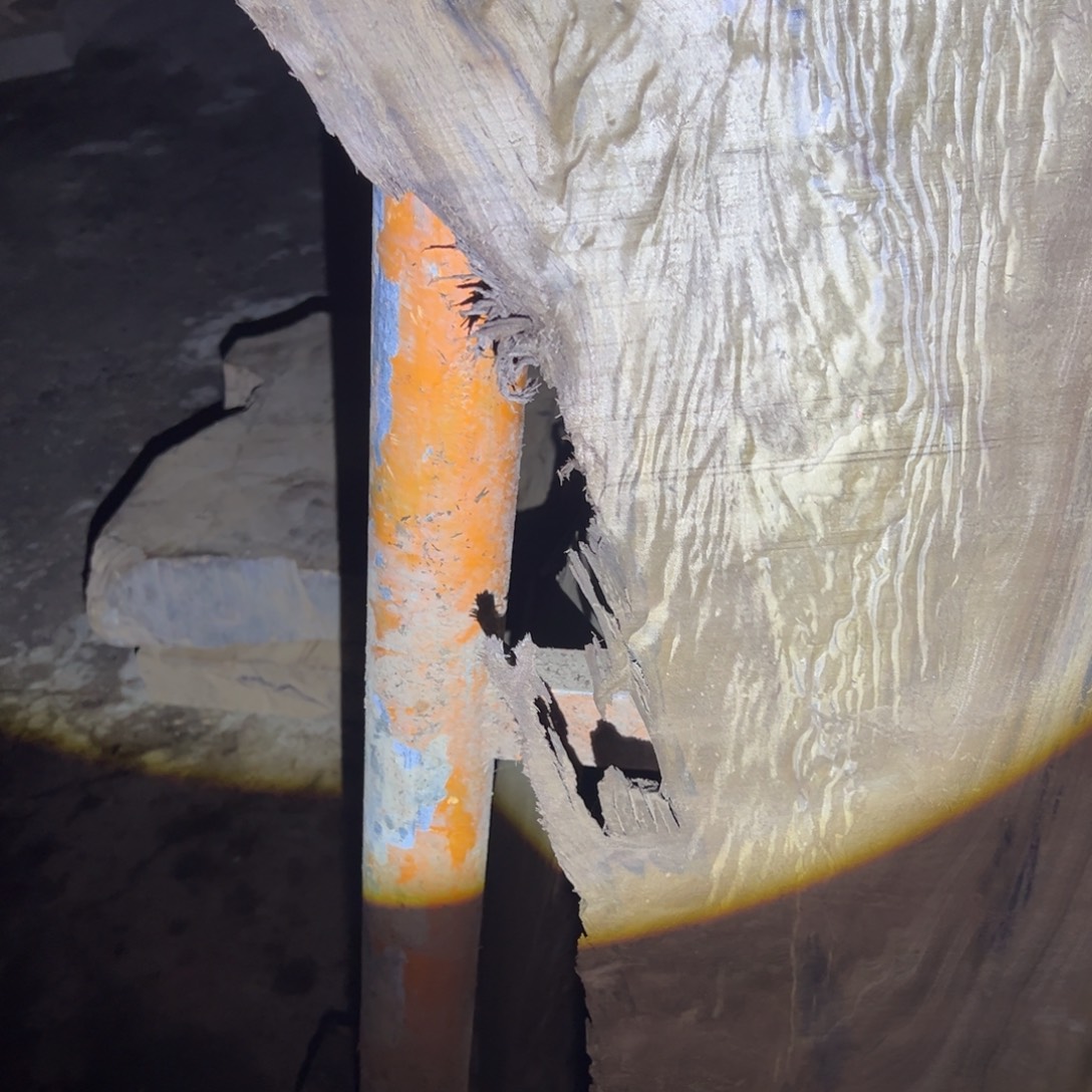 雅***龙金丝楠22222222222222222