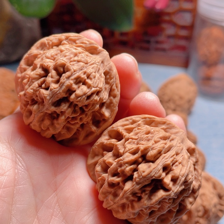 怀*40尺寸四座楼狮子头骨质好