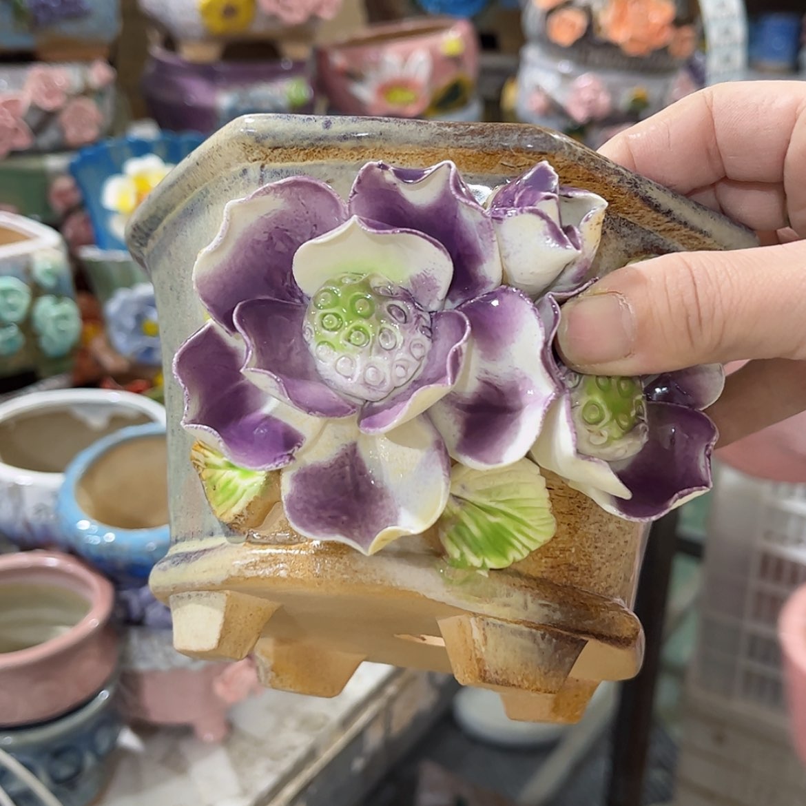 【闪购商品】红陶福利