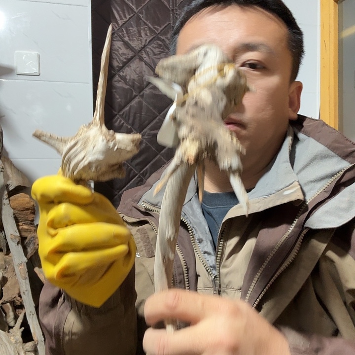 佳***杰柏木崖柏毛料的加工