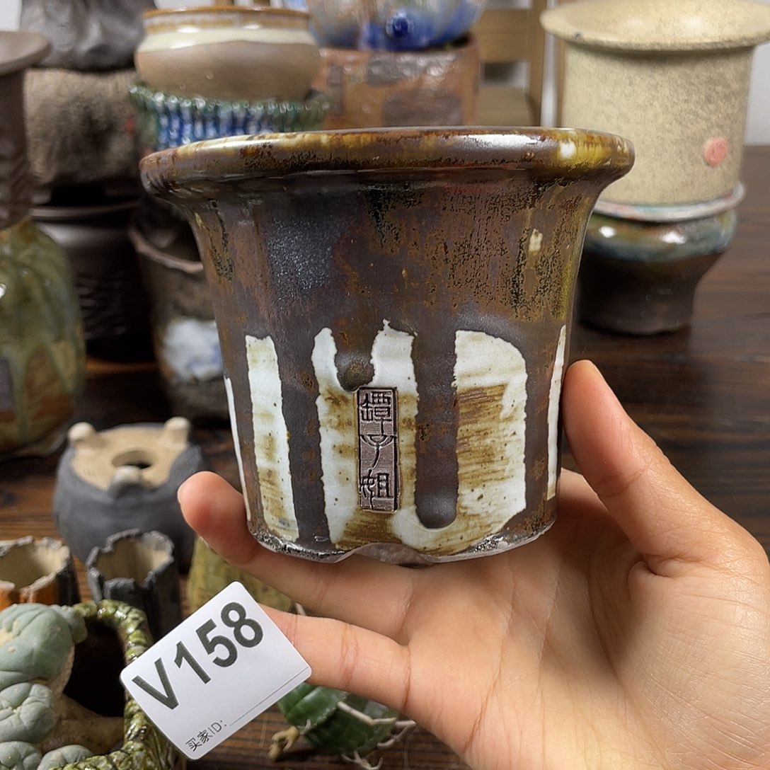 默认微次 限时福利 坛子姐花盆