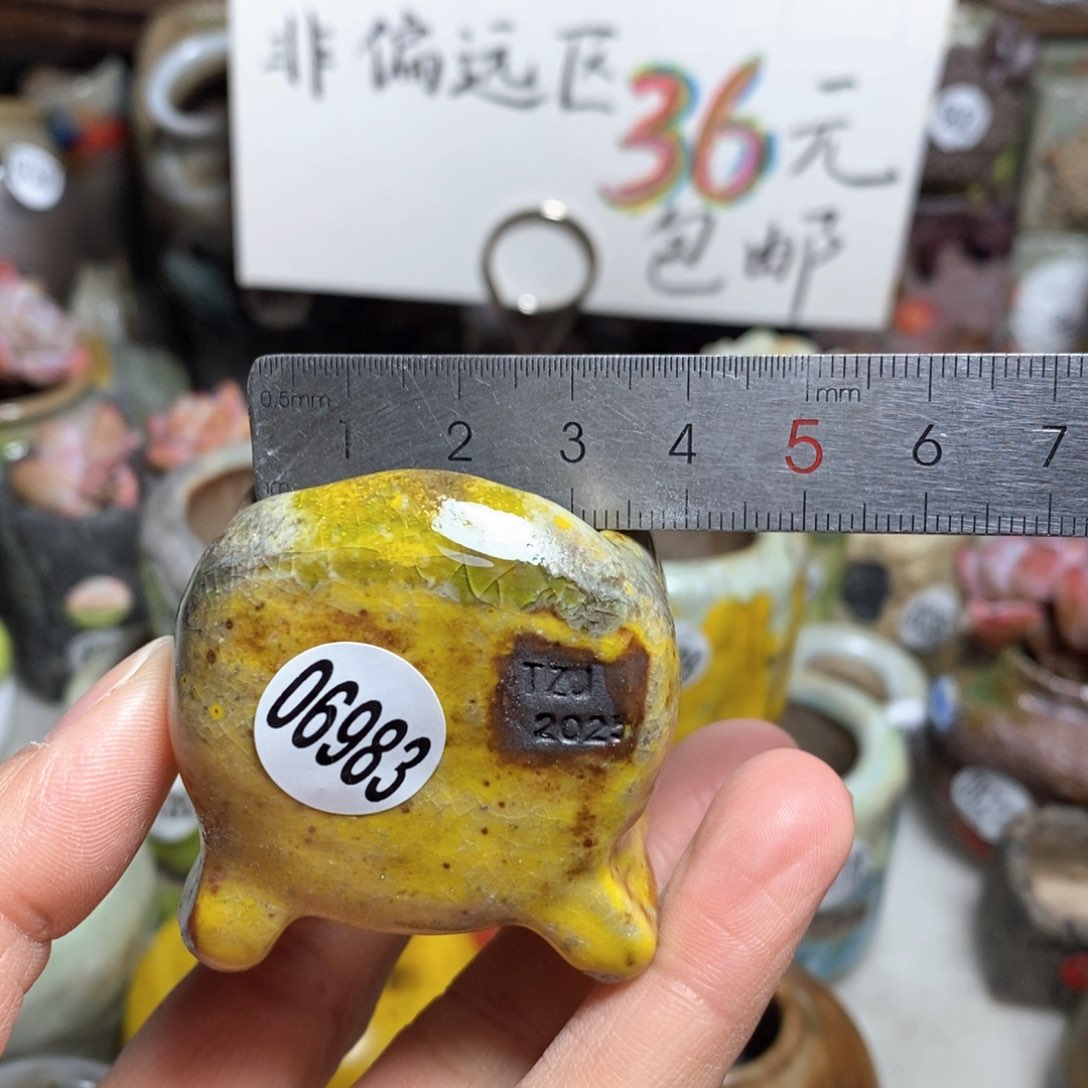 花盆拍3送一个小礼物