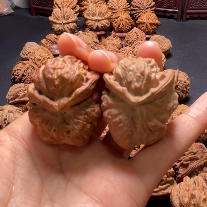 蛙蛙小蛇头核桃哈哈哈哈哈哈