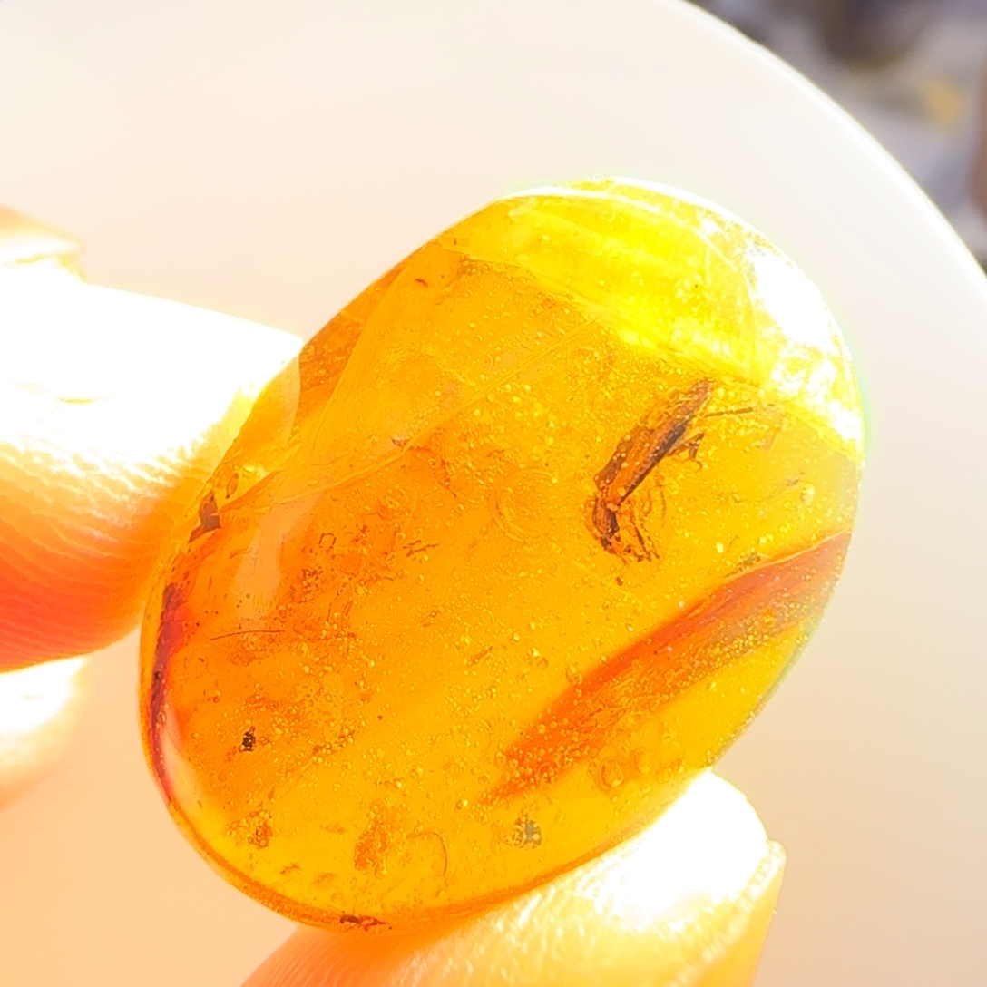 未镶嵌琥珀裸石虫珀标本