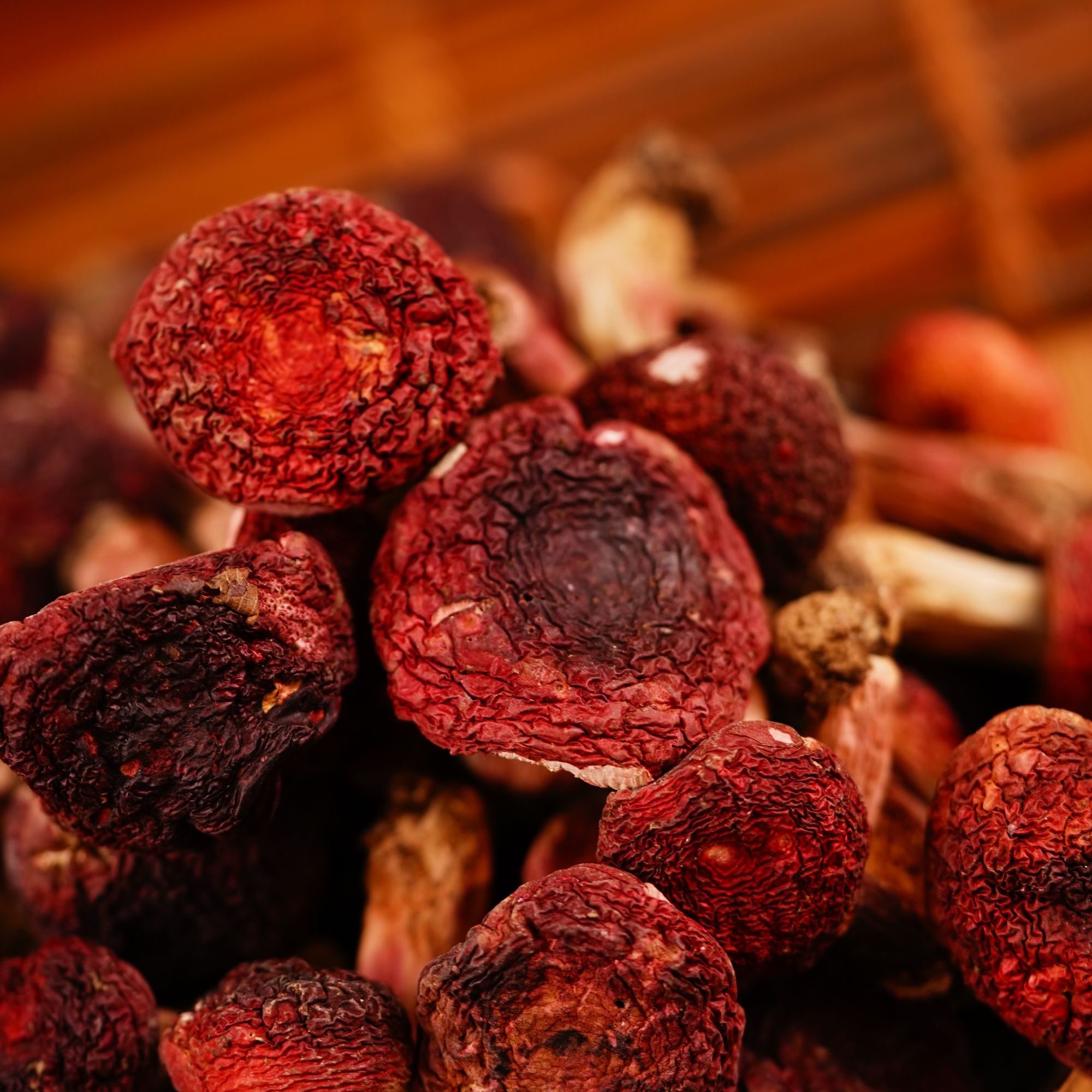 吾佳本物【红~ 菇香】 通用代拍罐子250G大号 茶配