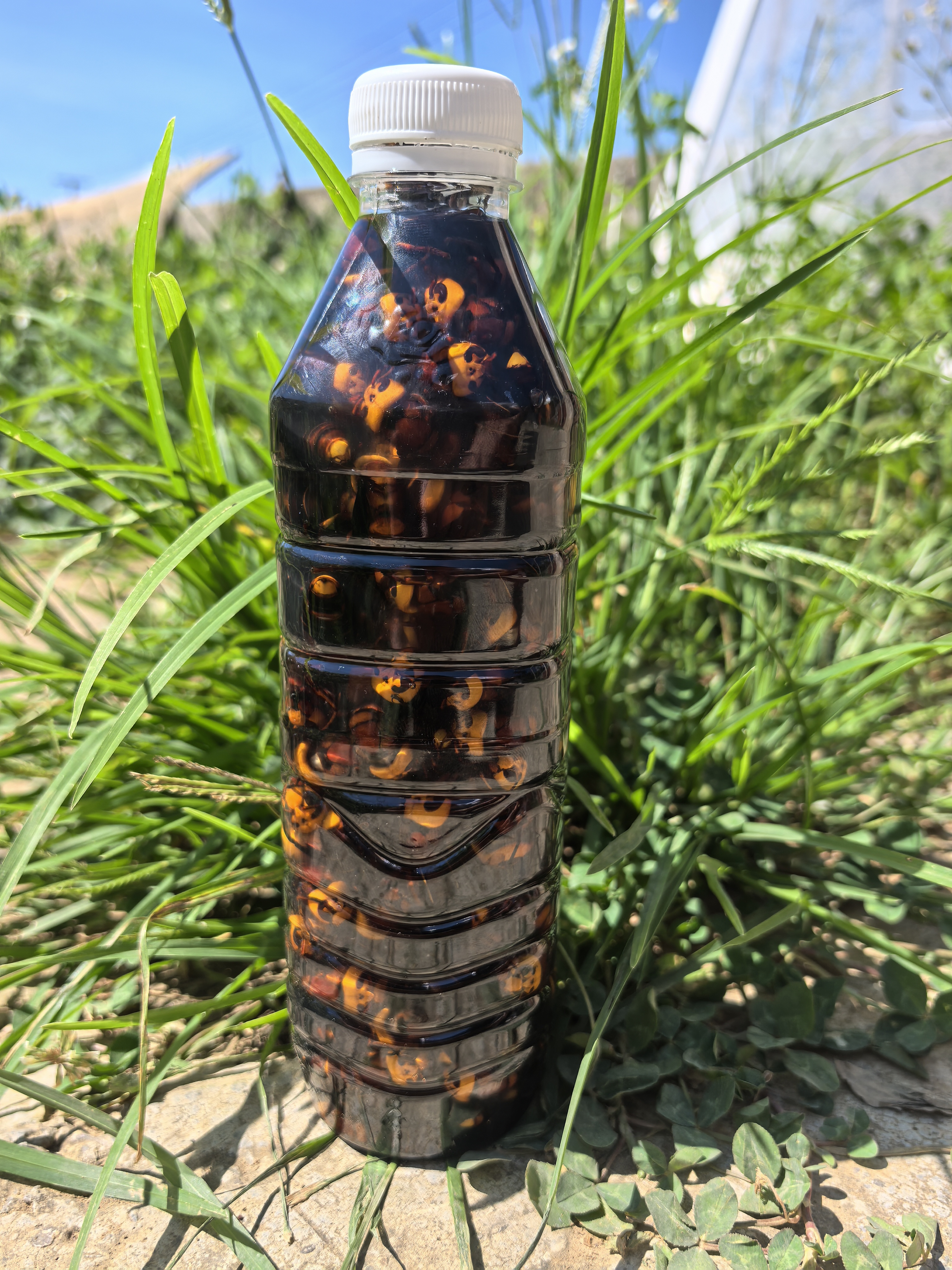 红娘虎头蜂老蜂100只加原浆