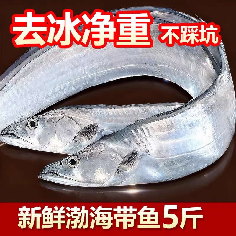 渤海残刀鱼油带鱼顺丰包邮共5斤
