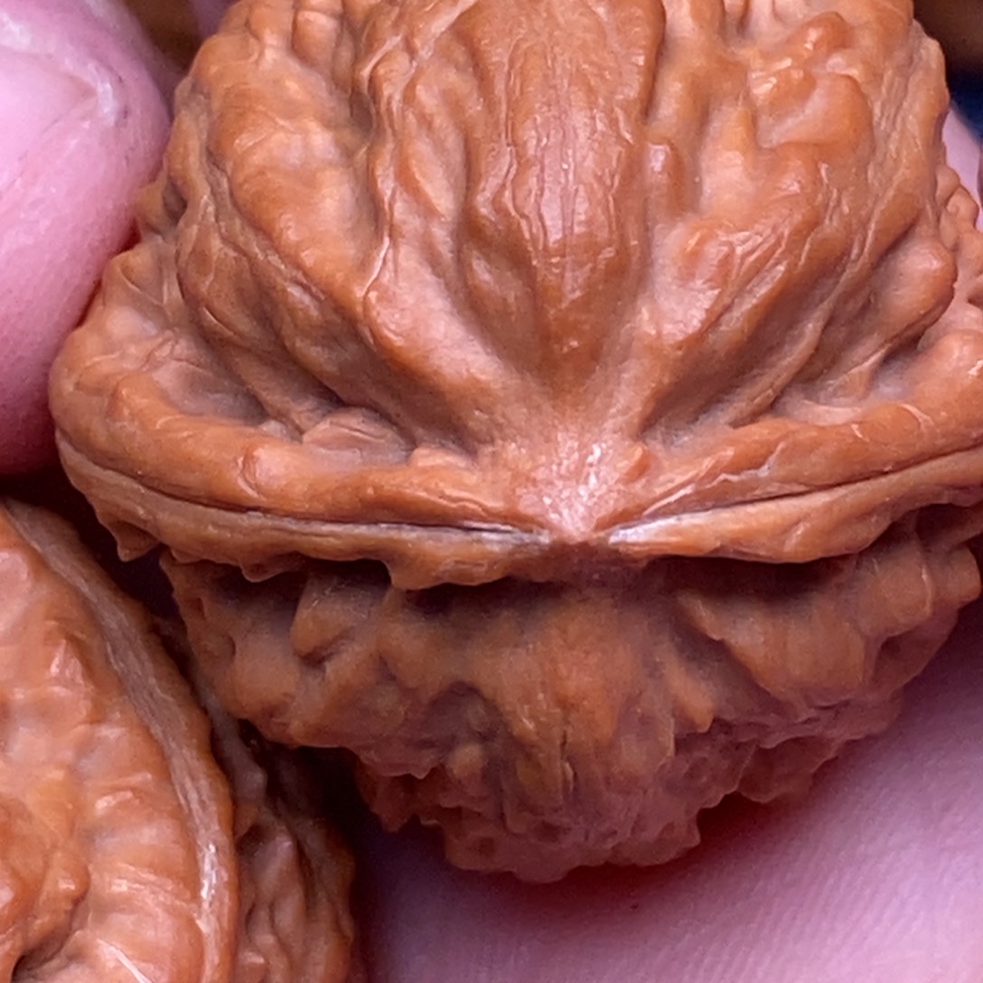 文玩核桃把件傦****手捻