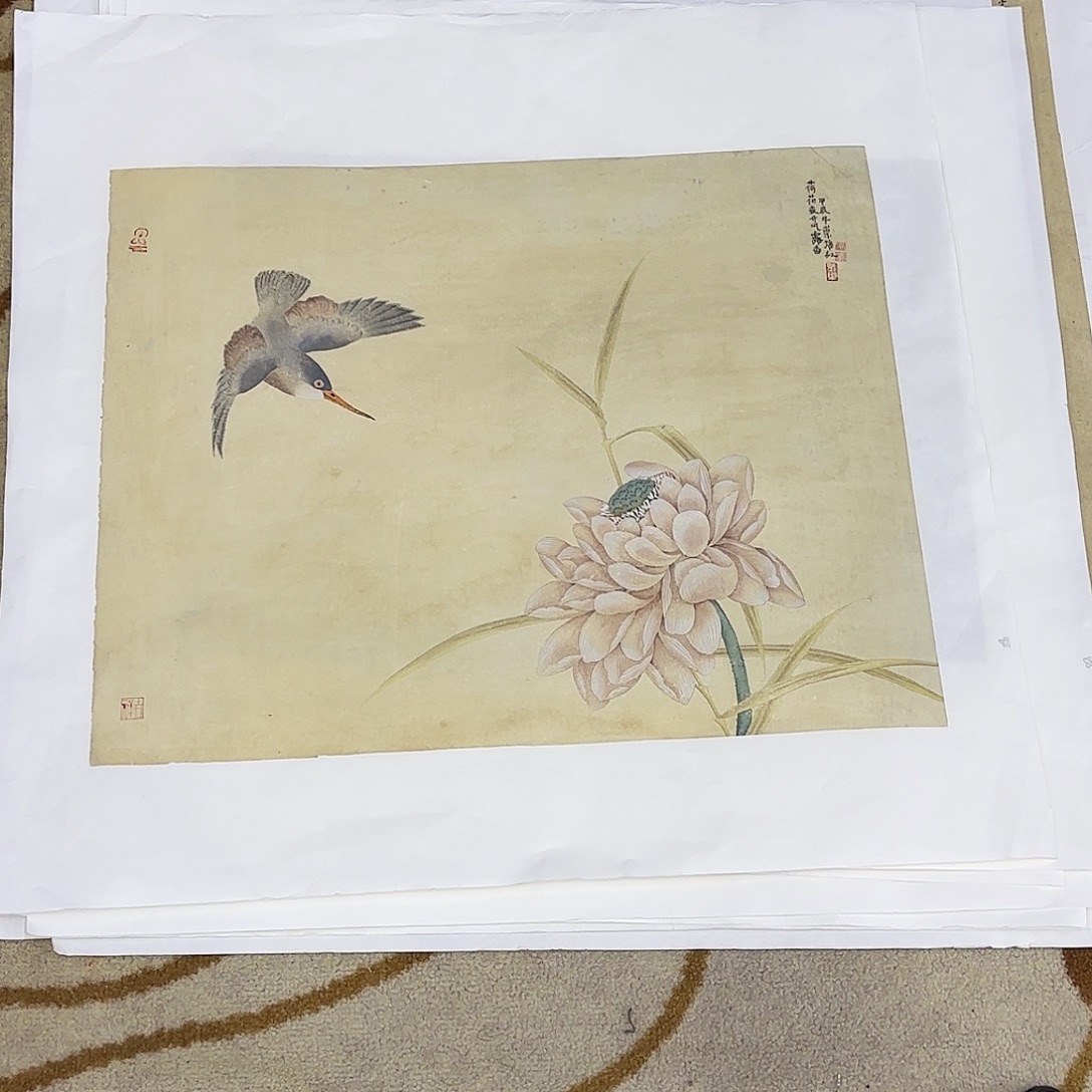 国画崇培红花鸟作品艺