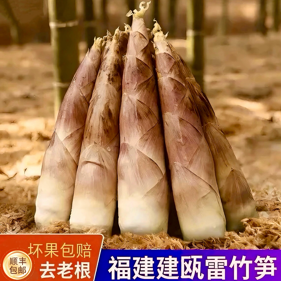 春笋15斤足量大笋新鲜当天现挖野生雷竹笋腌笃鲜顺丰包邮