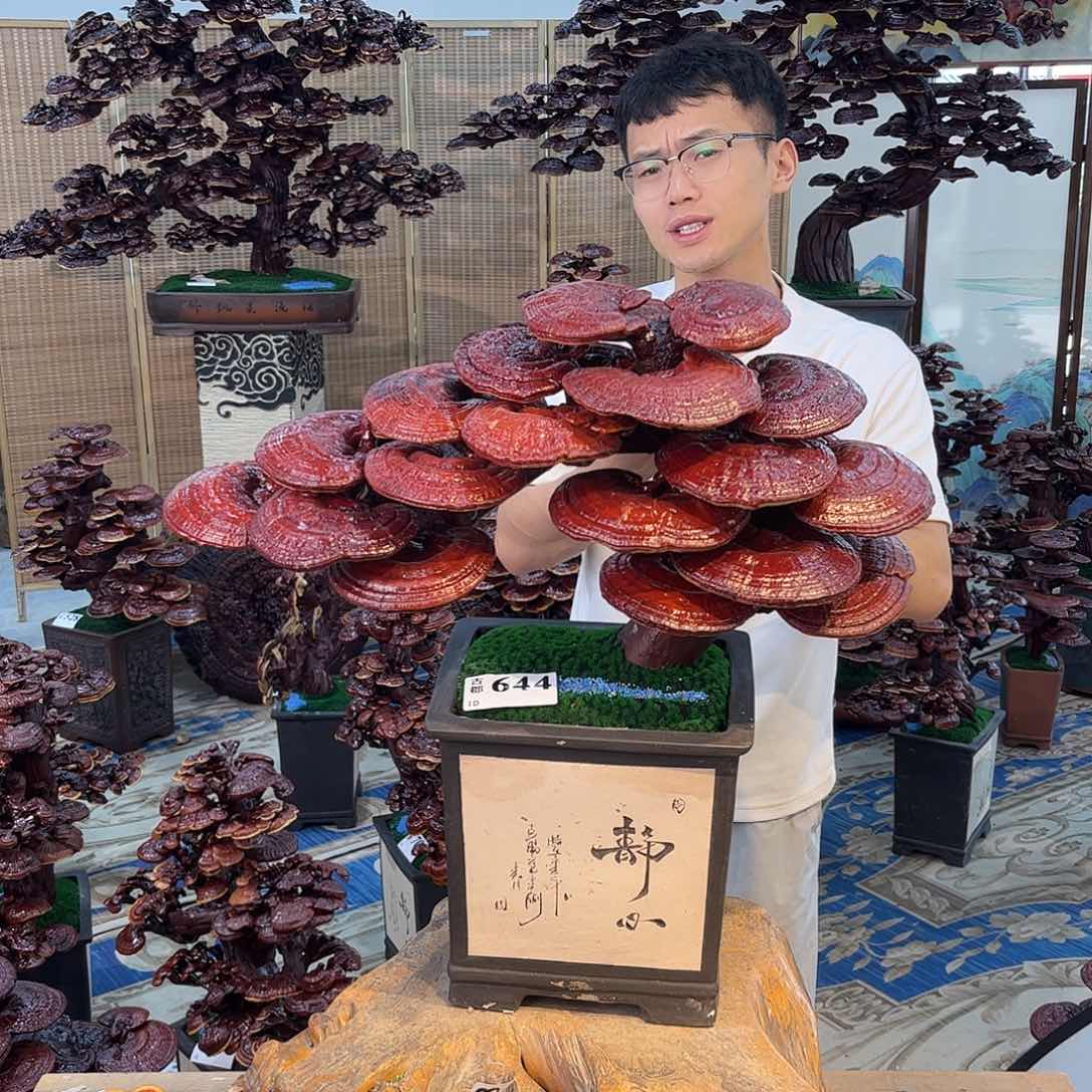 无花朵888888888888888888