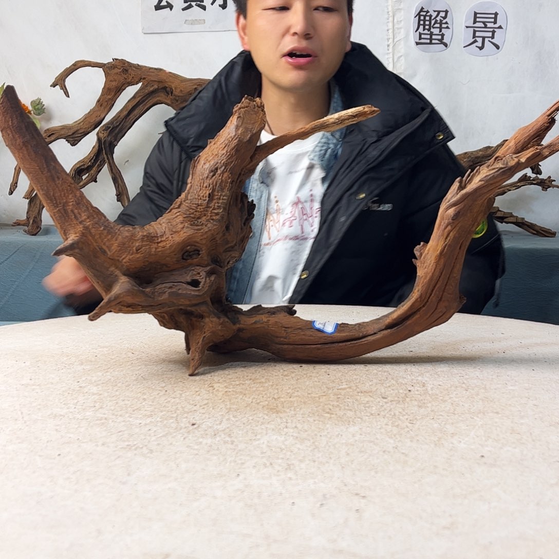 56.27.17 新年快乐沉木造景