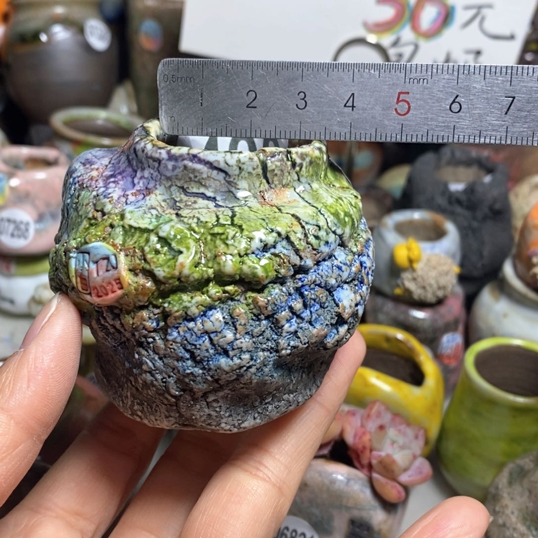 花盆处理的，不退不换的