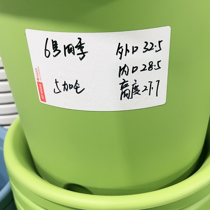 特价6号口32.5高27白色7只无托