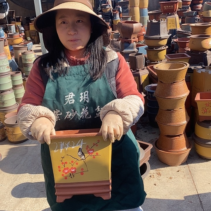 紫砂花盆紫砂花盆