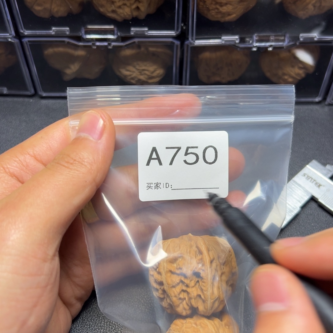 把件核桃哈哈哈哈