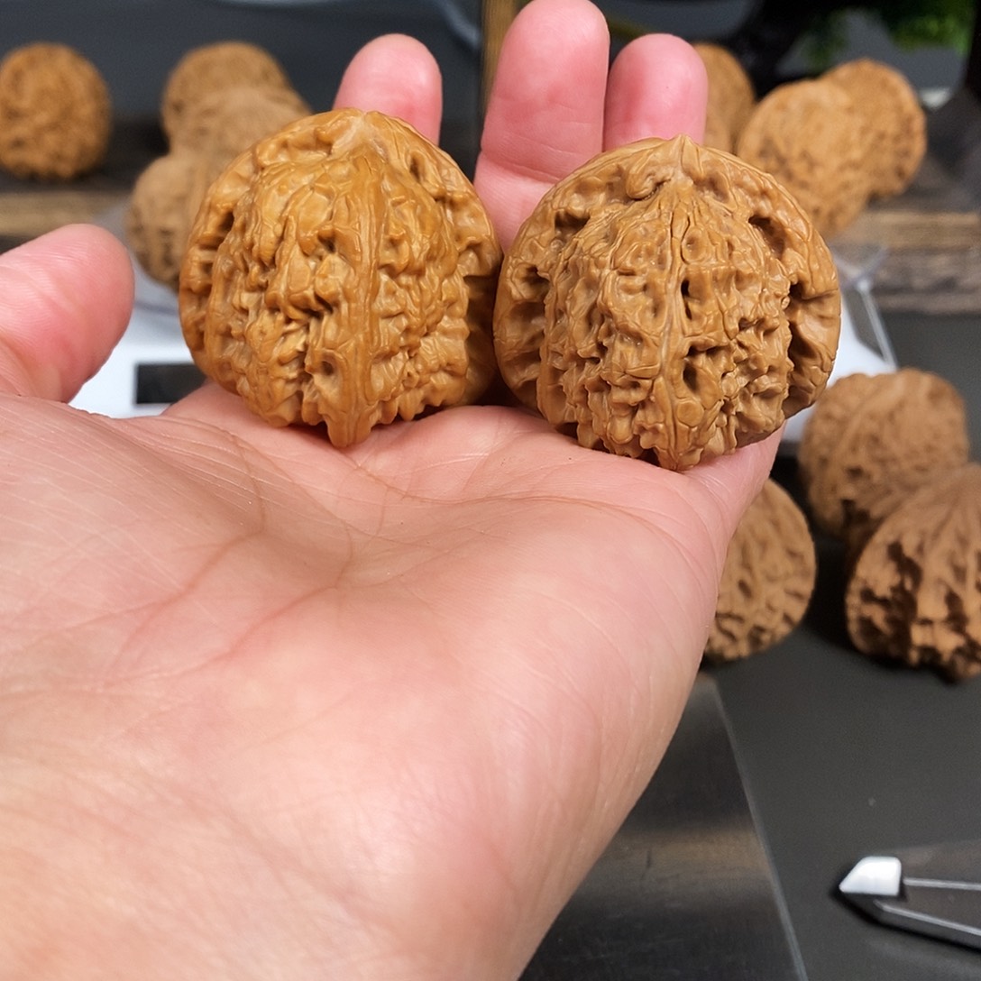 文玩核桃把件红皮老树角白骨质太棒了