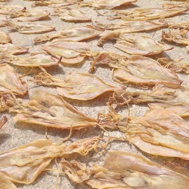 惠安小岞鱿鱼母天然淡晒干无添加味道鲜甜营养美味孕妇炖汤