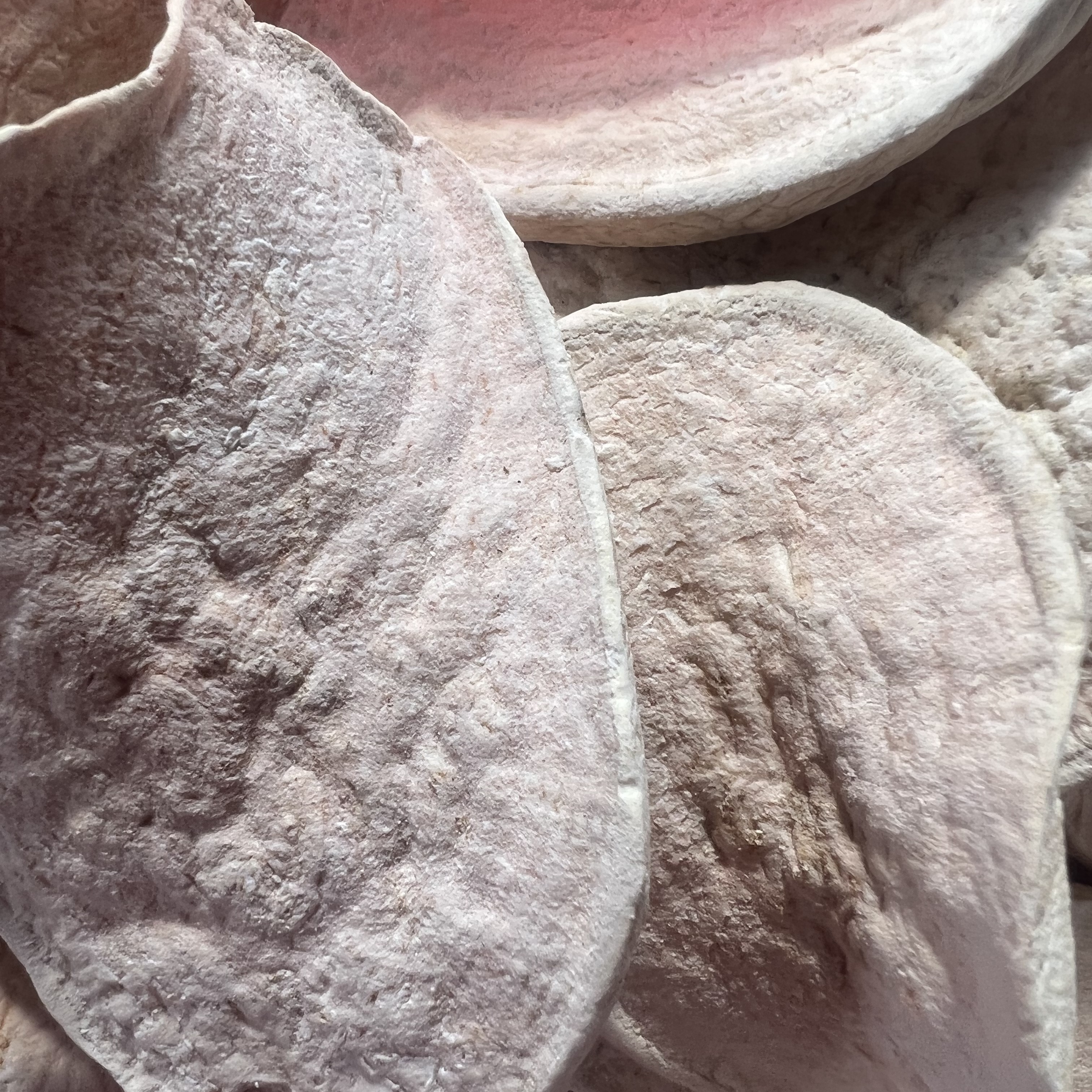 【建华福利款】新红心地瓜干甜甜糯糯1000g包邮