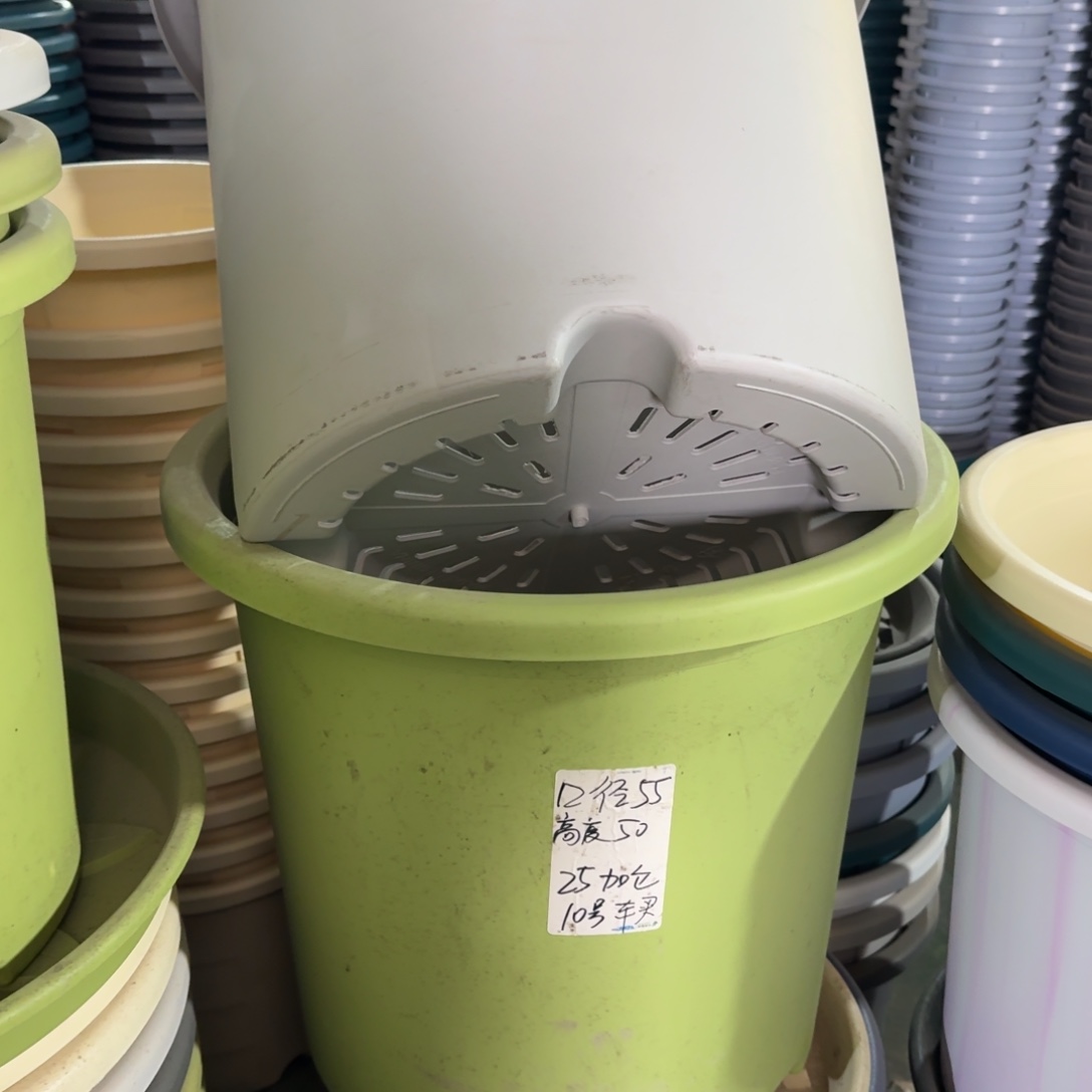 四季55口无拖果绿2个