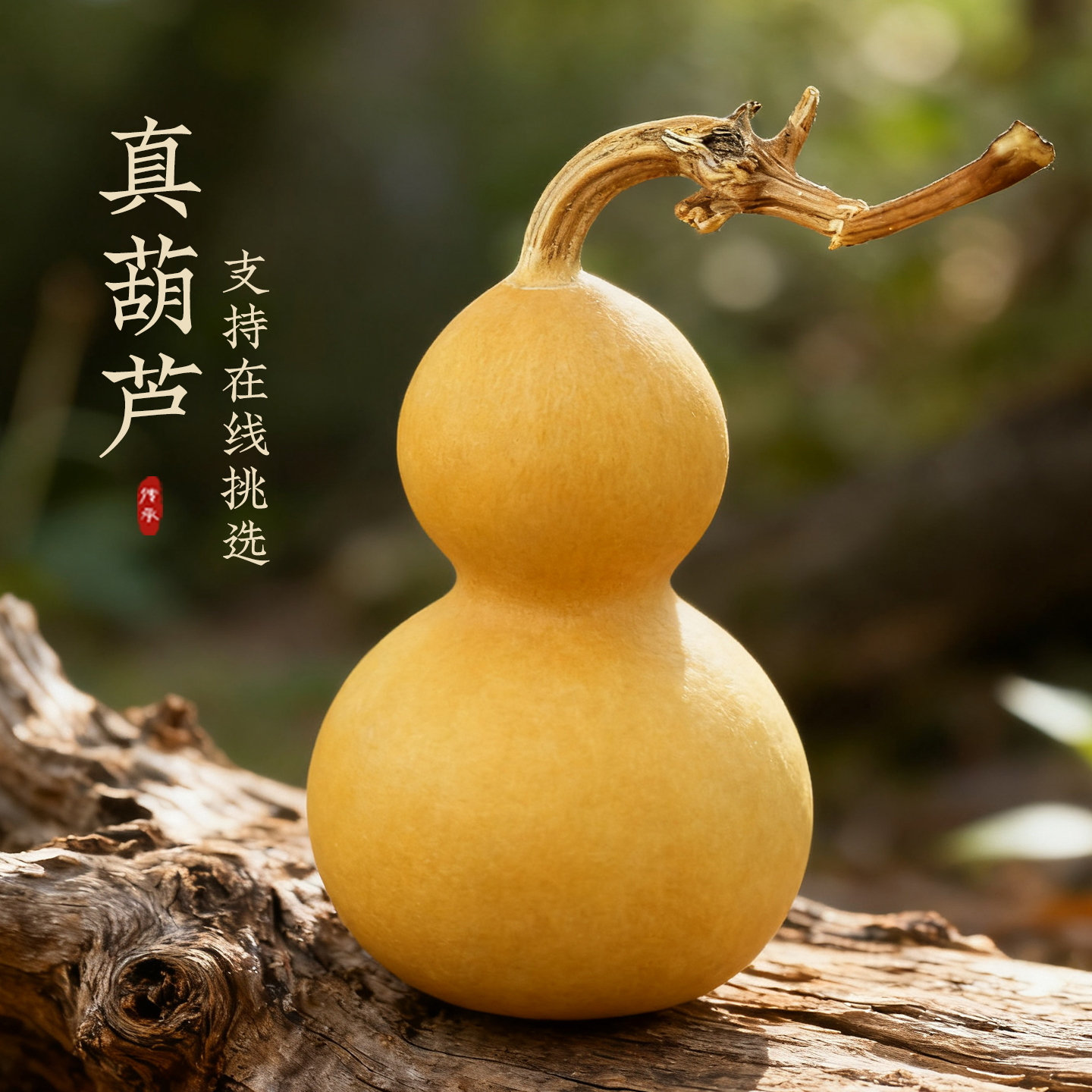 天然小葫芦手把件带龙头可盘玩的葫芦手捻葫芦随身携带文玩葫芦