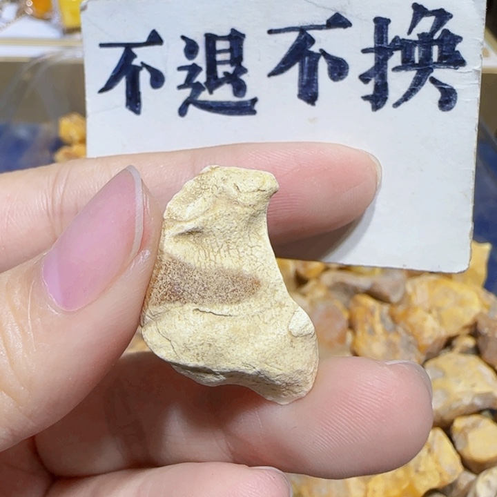 未镶嵌定制琥珀蜜蜡